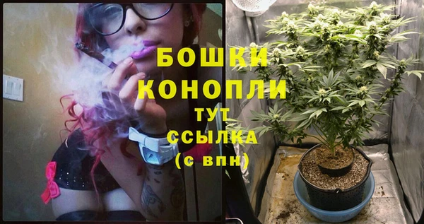 прущие крисы Беломорск