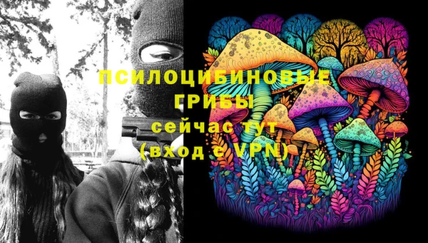 прущие крисы Беломорск