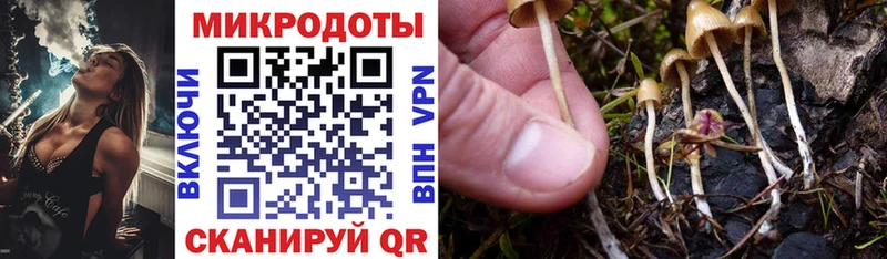 Галлюциногенные грибы мухоморы  купить   Дагестанские Огни 