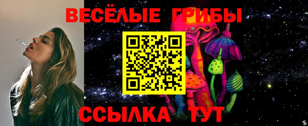 Дагестанские Огни  Галлюциногенные грибы мухоморы  Вход с VPN 