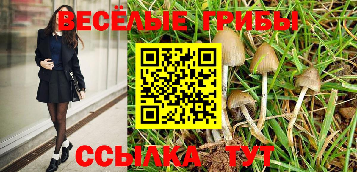 Псилоцибиновые грибы ЛСД Дагестанские Огни