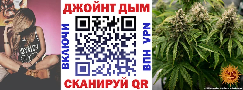 kraken как зайти  площадка клад  Каннабис тримм  закладки  Дагестанские Огни 